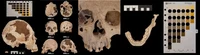 BANNER_umg02.png
