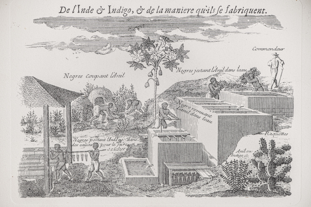 De l'Inde & Indigo et de la maniere qu'ils le fabriquent. Pierre Pomet, Histoire generale des drogues (1694)